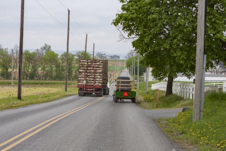 Een Amish buggy word ingehaald door een grote vrachtwagen met kippen